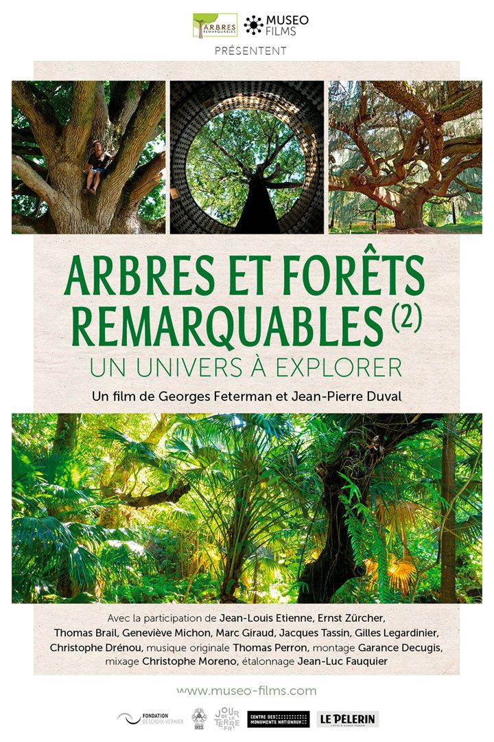 Arbres et forêts remarquables, un univers à explorer - Documentaire (2020)