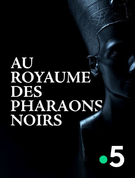 Au royaume des pharaons noirs - Documentaire (2021)