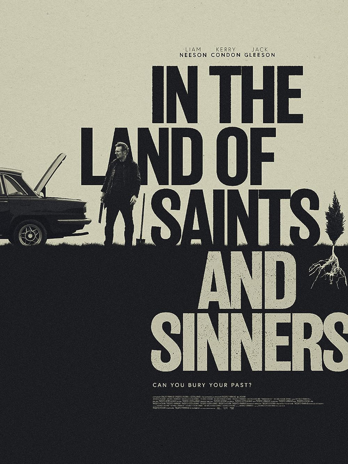 In The Land Of Saints And Sinners - film 2023