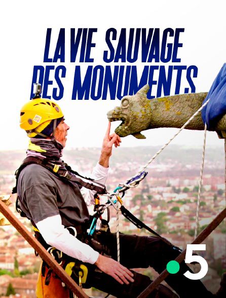 La vie sauvage des monuments - Documentaire (2021)