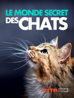 Le monde secret des chats - Documentaire TV (2021)