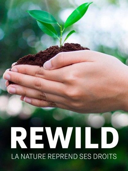 Rewild, la nature reprend ses droits - Documentaire (2022)